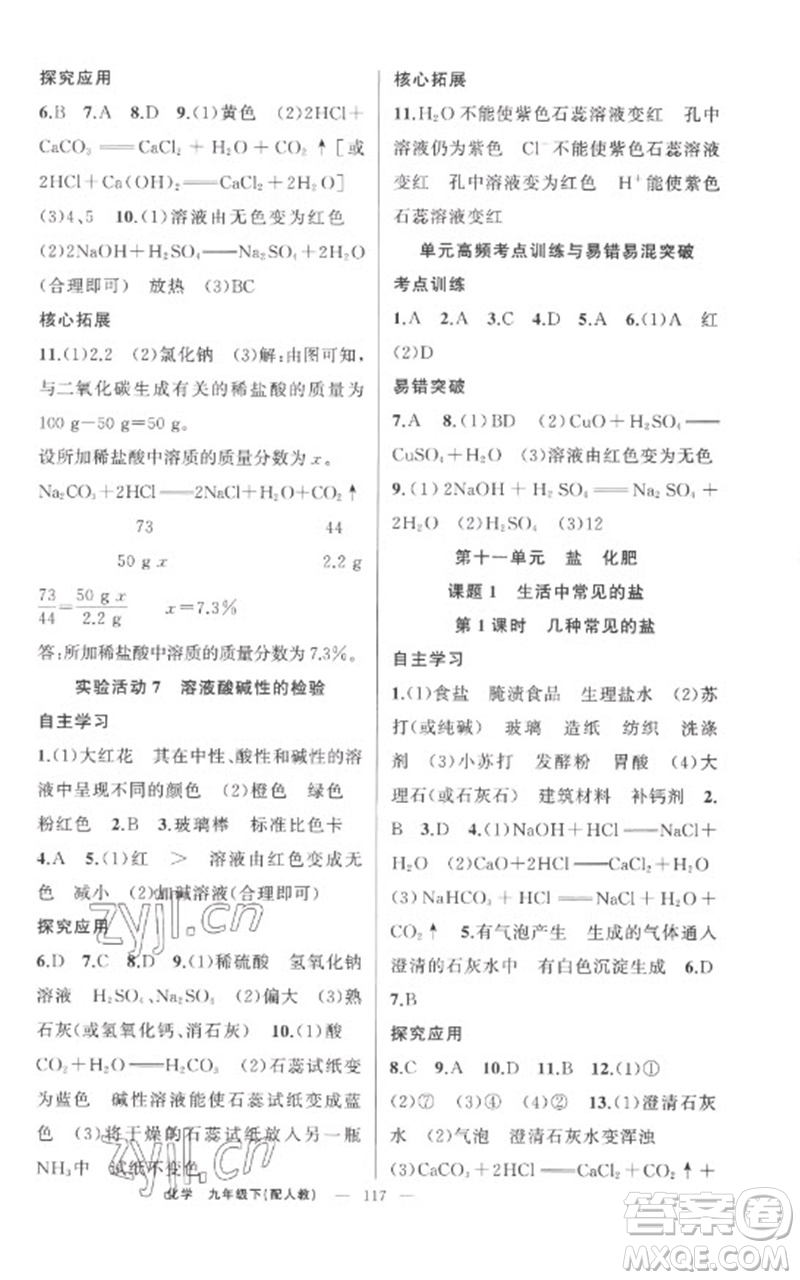 新疆青少年出版社2023原創(chuàng)新課堂九年級化學下冊人教版參考答案