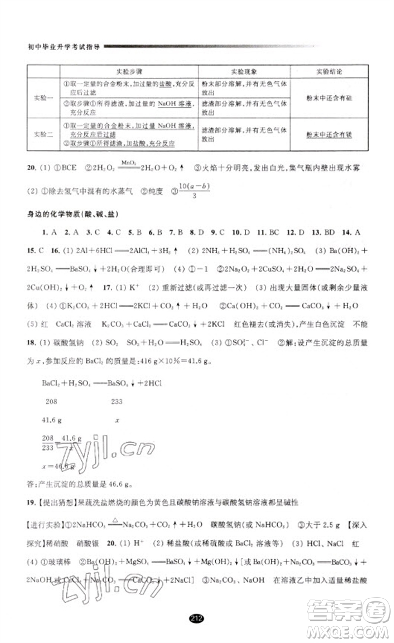 江蘇鳳凰教育出版社2023初中畢業(yè)升學(xué)考試指導(dǎo)九年級(jí)化學(xué)通用版參考答案