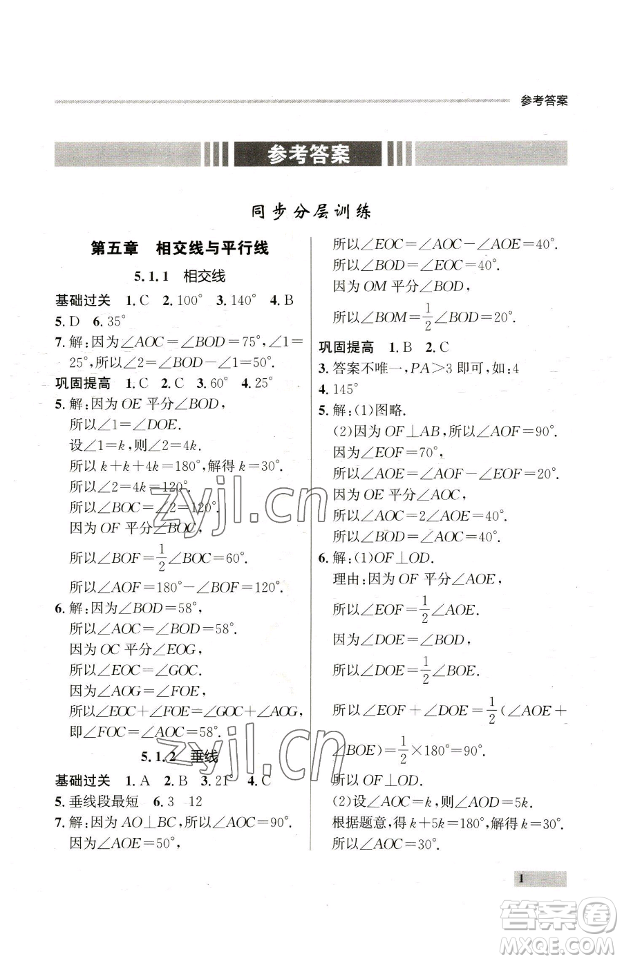 延邊大學(xué)出版社2023點(diǎn)石成金金牌每課通七年級(jí)下冊(cè)數(shù)學(xué)人教版參考答案