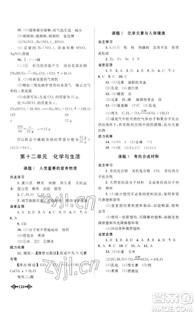 黃山書(shū)社2023自主學(xué)習(xí)當(dāng)堂反饋九年級(jí)化學(xué)下冊(cè)人教版參考答案