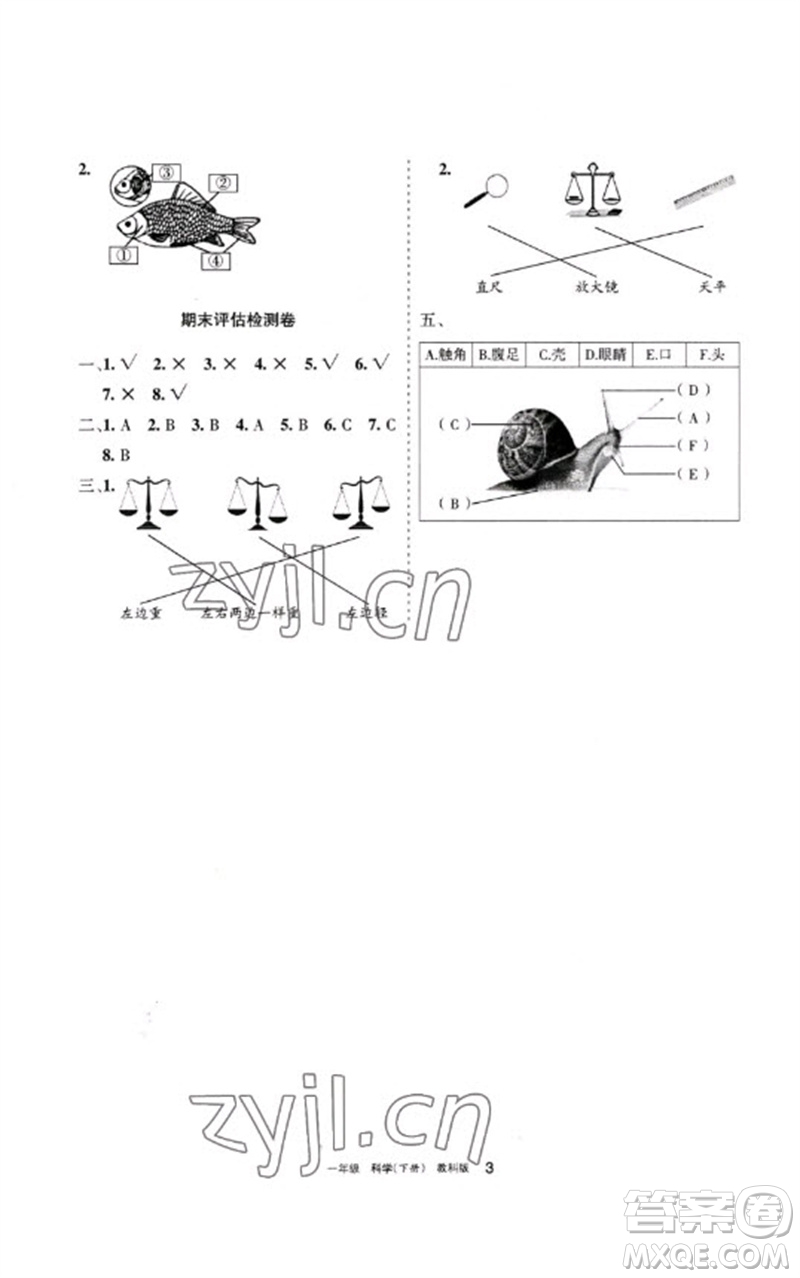 寧夏人民教育出版社2023學習之友一年級科學下冊教科版參考答案