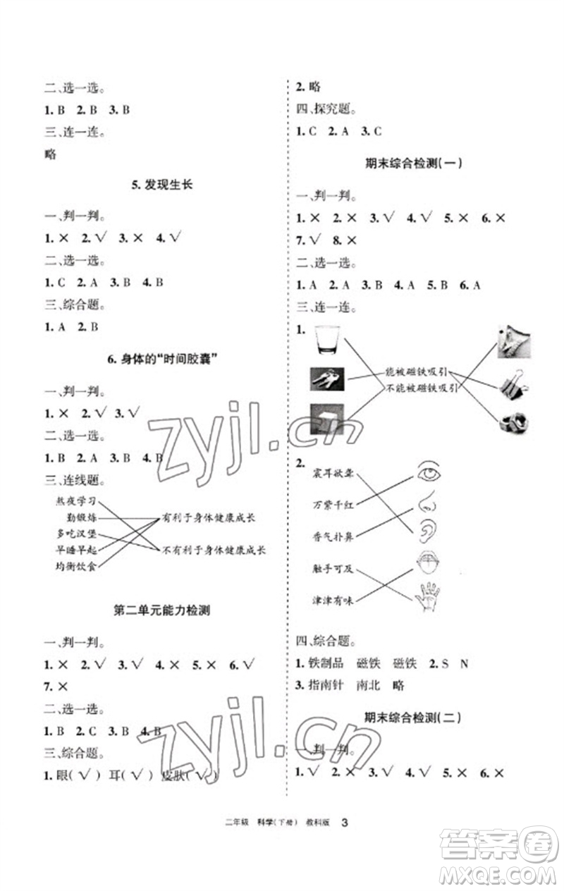 寧夏人民教育出版社2023學習之友二年級科學下冊教科版參考答案