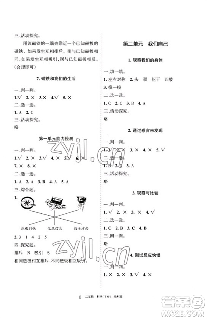 寧夏人民教育出版社2023學習之友二年級科學下冊教科版參考答案