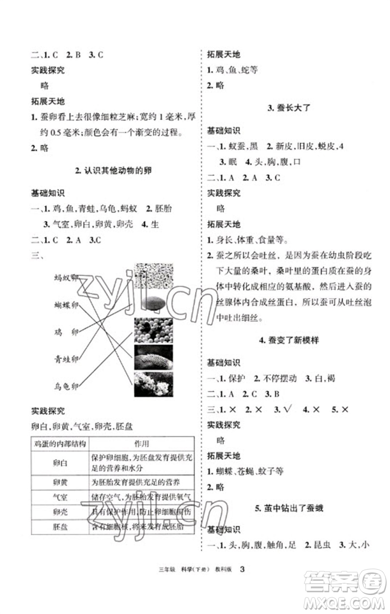 寧夏人民教育出版社2023學(xué)習(xí)之友三年級科學(xué)下冊教科版參考答案