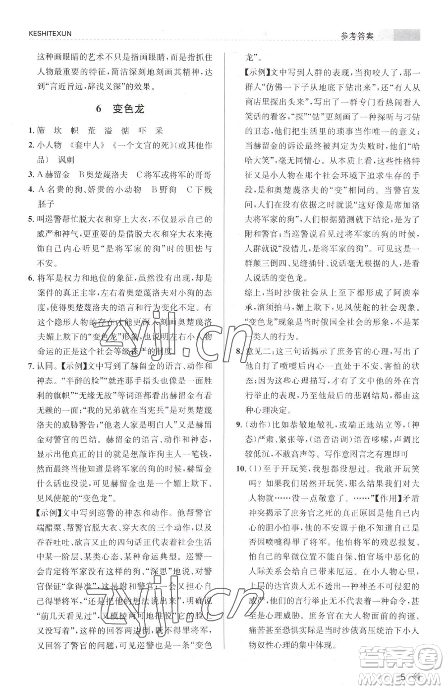 浙江人民出版社2023課時(shí)特訓(xùn)九年級(jí)下冊(cè)語(yǔ)文人教版參考答案