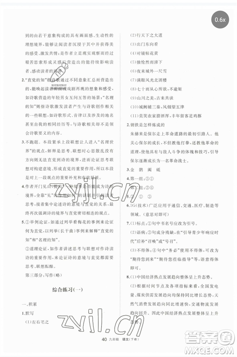 寧夏人民教育出版社2023學(xué)習(xí)之友九年級語文下冊人教版參考答案