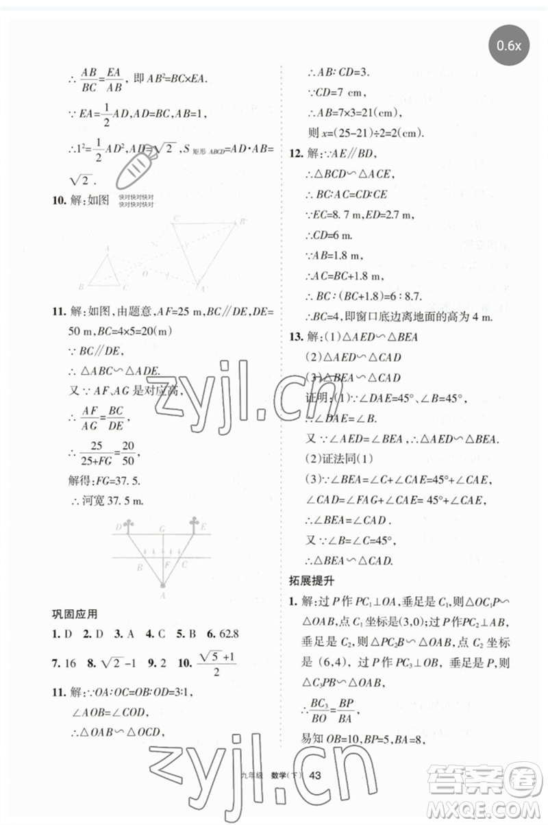 寧夏人民教育出版社2023學習之友九年級數(shù)學下冊人教版參考答案