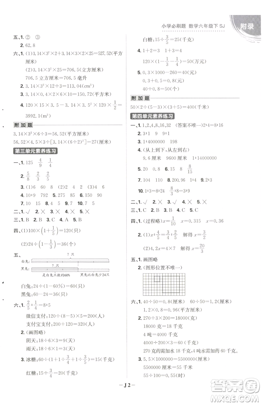 首都師范大學(xué)出版社2023小學(xué)必刷題六年級下冊數(shù)學(xué)人教版參考答案