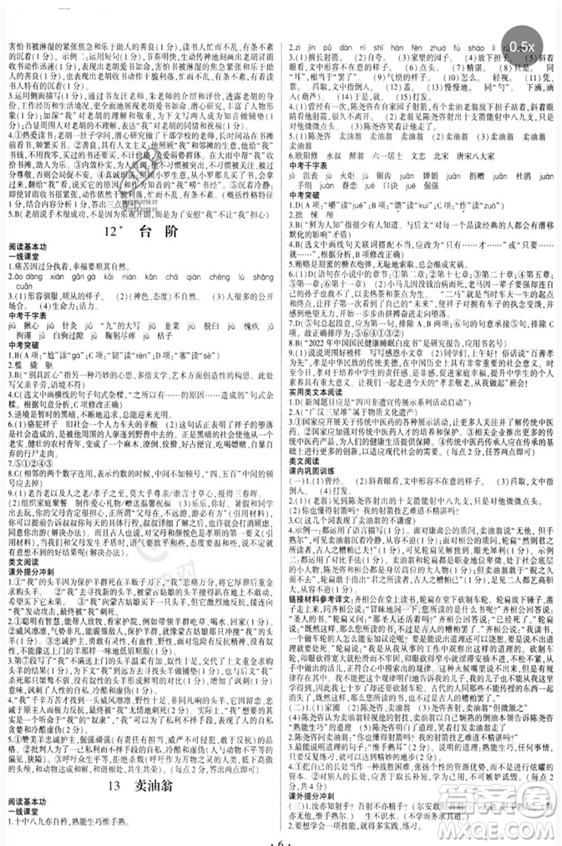 四川民族出版社2023同步寶典1線超越七年級(jí)語(yǔ)文下冊(cè)人教版參考答案