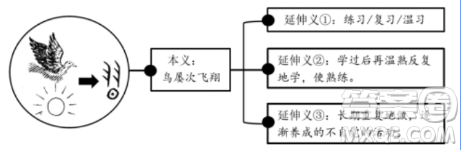 習(xí)為題作文600字  關(guān)于習(xí)為題目的作文600字