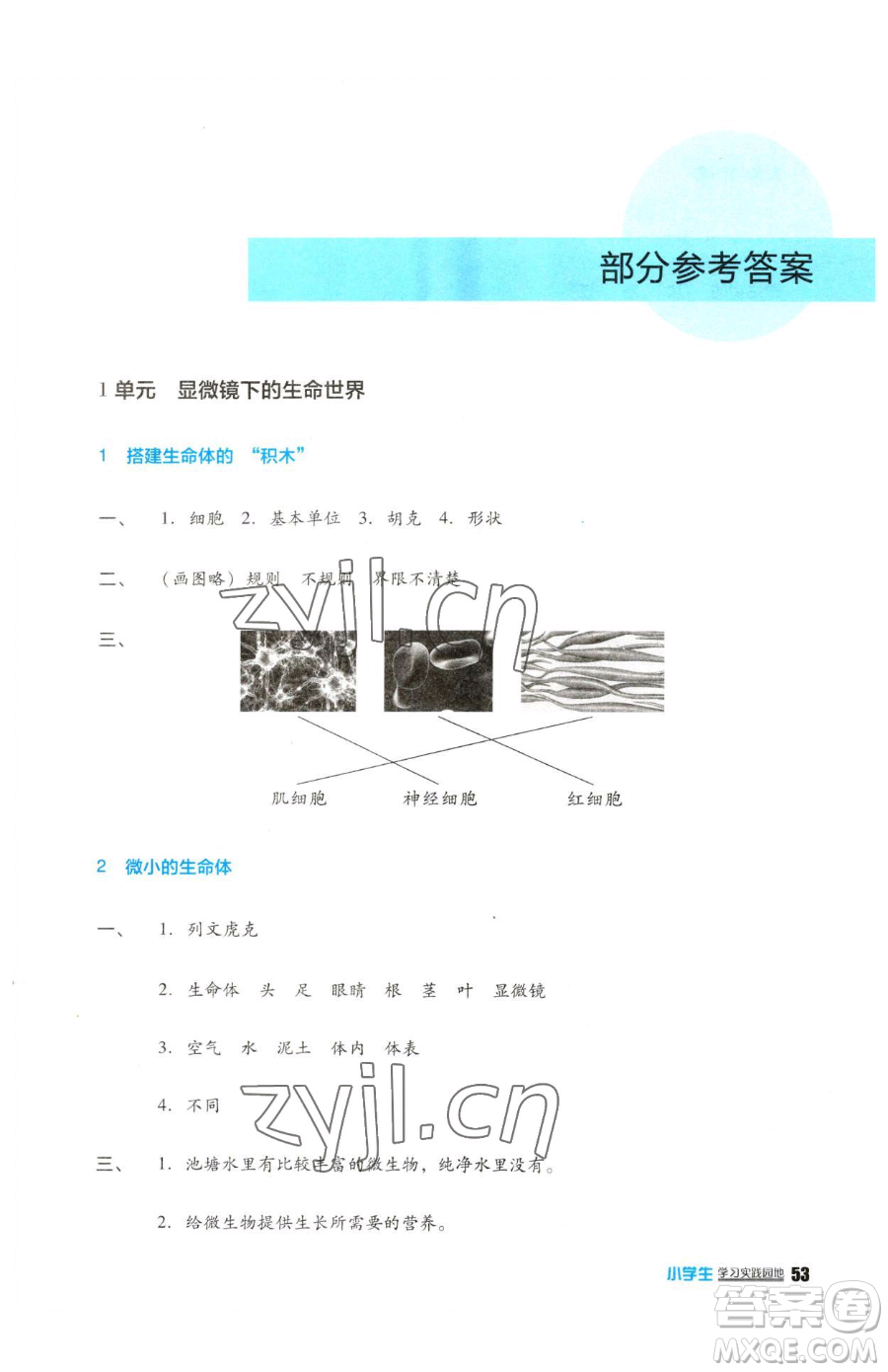 四川教育出版社2023新課標(biāo)小學(xué)生學(xué)習(xí)實(shí)踐園地五年級下冊科學(xué)蘇教版參考答案