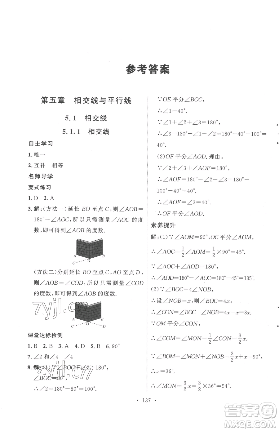 陜西人民出版社2023實(shí)驗(yàn)教材新學(xué)案七年級(jí)下冊(cè)數(shù)學(xué)人教版參考答案