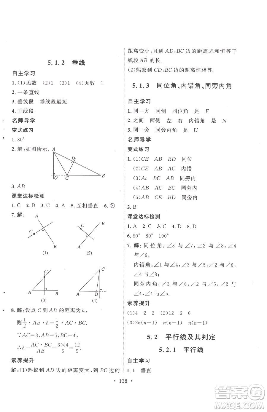 陜西人民出版社2023實(shí)驗(yàn)教材新學(xué)案七年級(jí)下冊(cè)數(shù)學(xué)人教版參考答案