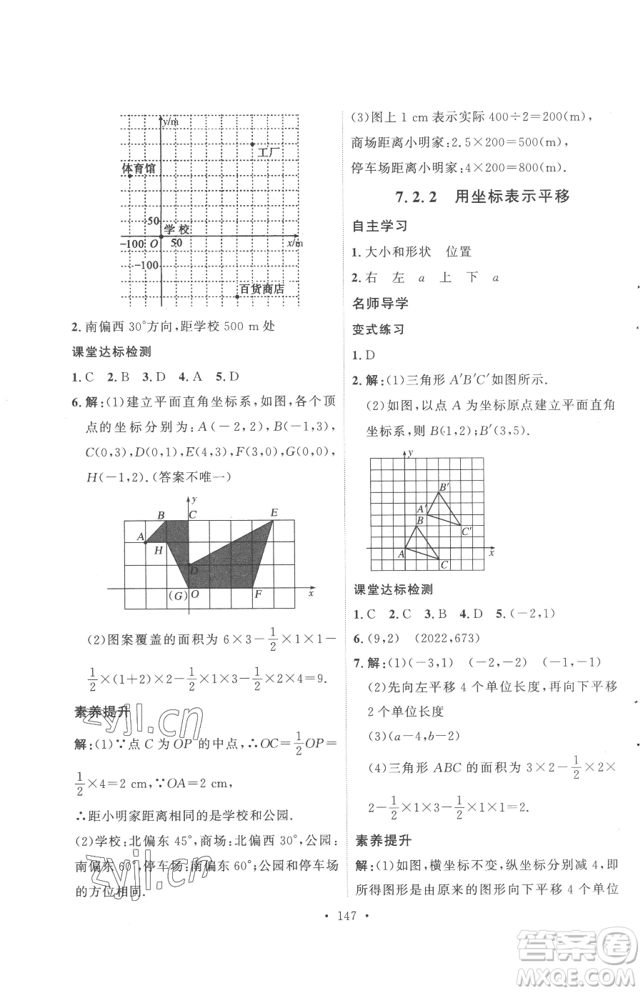 陜西人民出版社2023實(shí)驗(yàn)教材新學(xué)案七年級(jí)下冊(cè)數(shù)學(xué)人教版參考答案