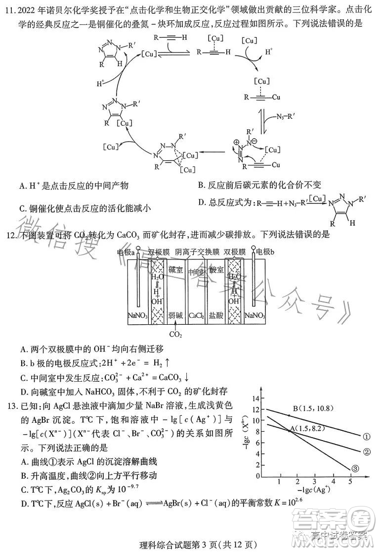 哈師大附中2023年高三第四次模擬考試理科綜合試卷答案