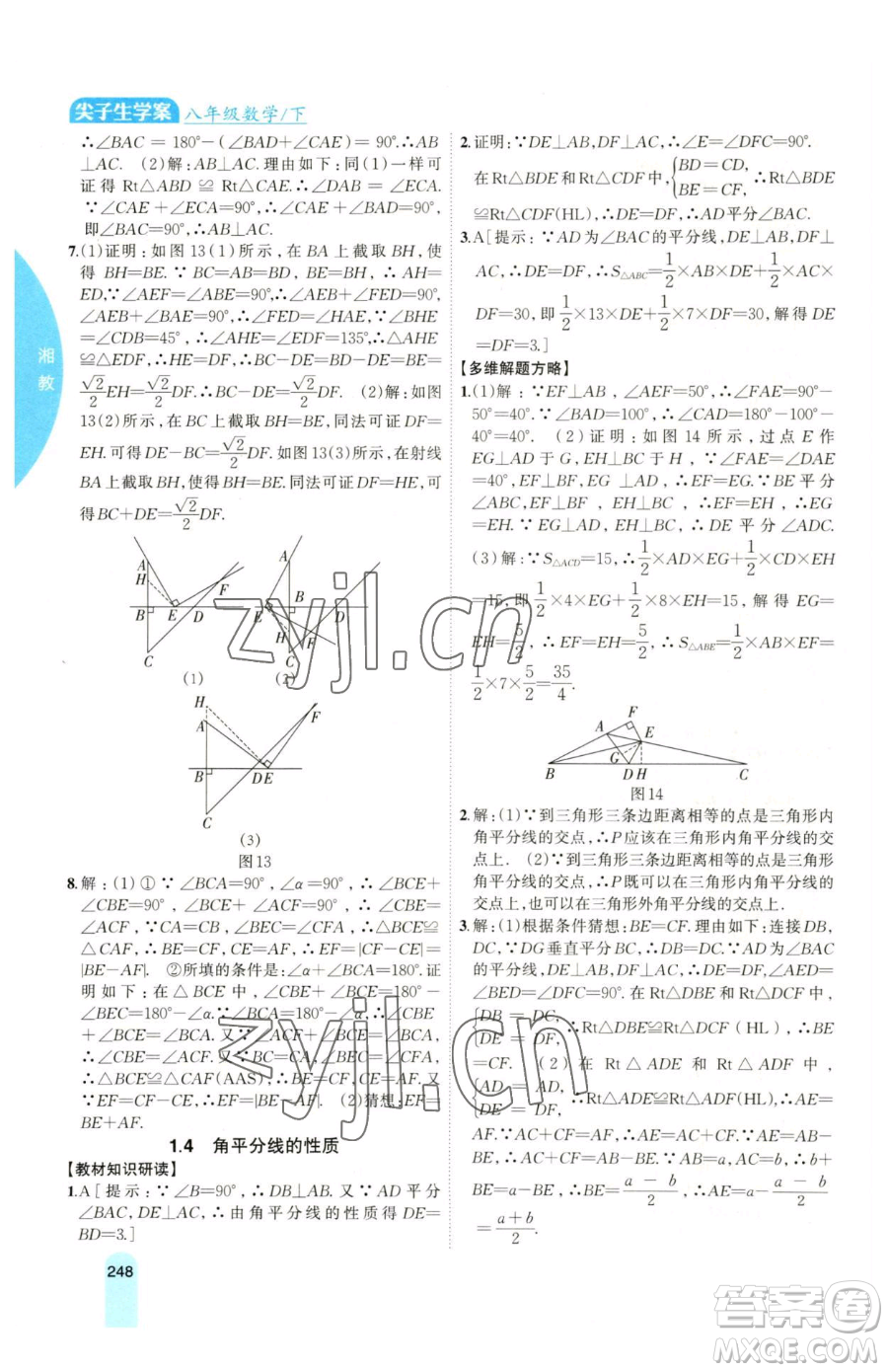 吉林人民出版社2023尖子生學(xué)案八年級(jí)下冊(cè)數(shù)學(xué)湘教版參考答案