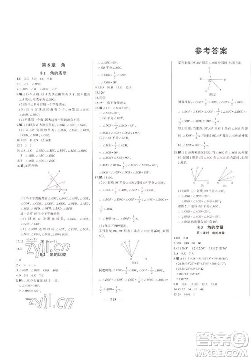 吉林人民出版社2023初中新課標(biāo)名師學(xué)案智慧大課堂七年級數(shù)學(xué)下冊青島版參考答案