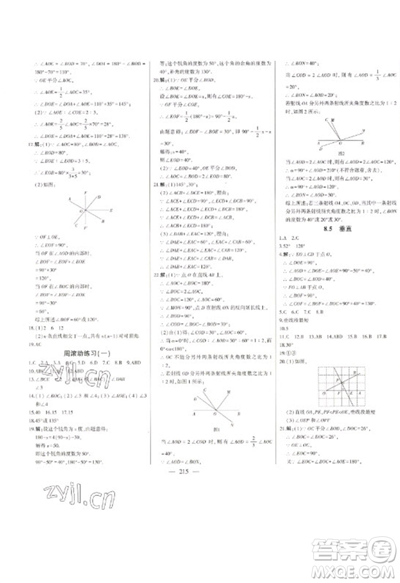 吉林人民出版社2023初中新課標(biāo)名師學(xué)案智慧大課堂七年級數(shù)學(xué)下冊青島版參考答案