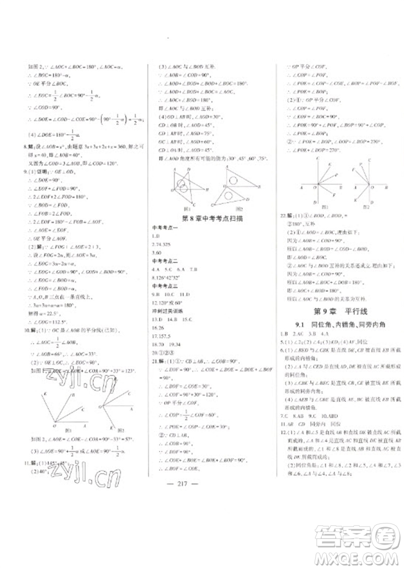 吉林人民出版社2023初中新課標(biāo)名師學(xué)案智慧大課堂七年級數(shù)學(xué)下冊青島版參考答案