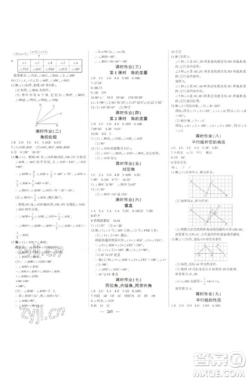 吉林人民出版社2023初中新課標(biāo)名師學(xué)案智慧大課堂七年級數(shù)學(xué)下冊青島版參考答案