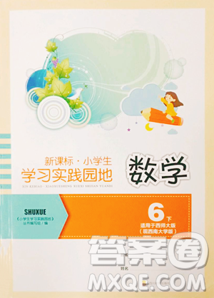 四川教育出版社2023新課標(biāo)小學(xué)生學(xué)習(xí)實踐園地六年級下冊數(shù)學(xué)西師大版參考答案