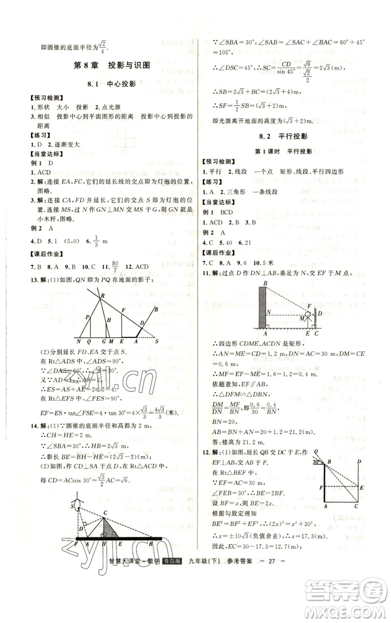 吉林人民出版社2023初中新課標(biāo)名師學(xué)案智慧大課堂九年級數(shù)學(xué)下冊青島版參考答案