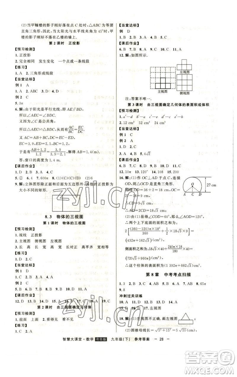 吉林人民出版社2023初中新課標(biāo)名師學(xué)案智慧大課堂九年級數(shù)學(xué)下冊青島版參考答案