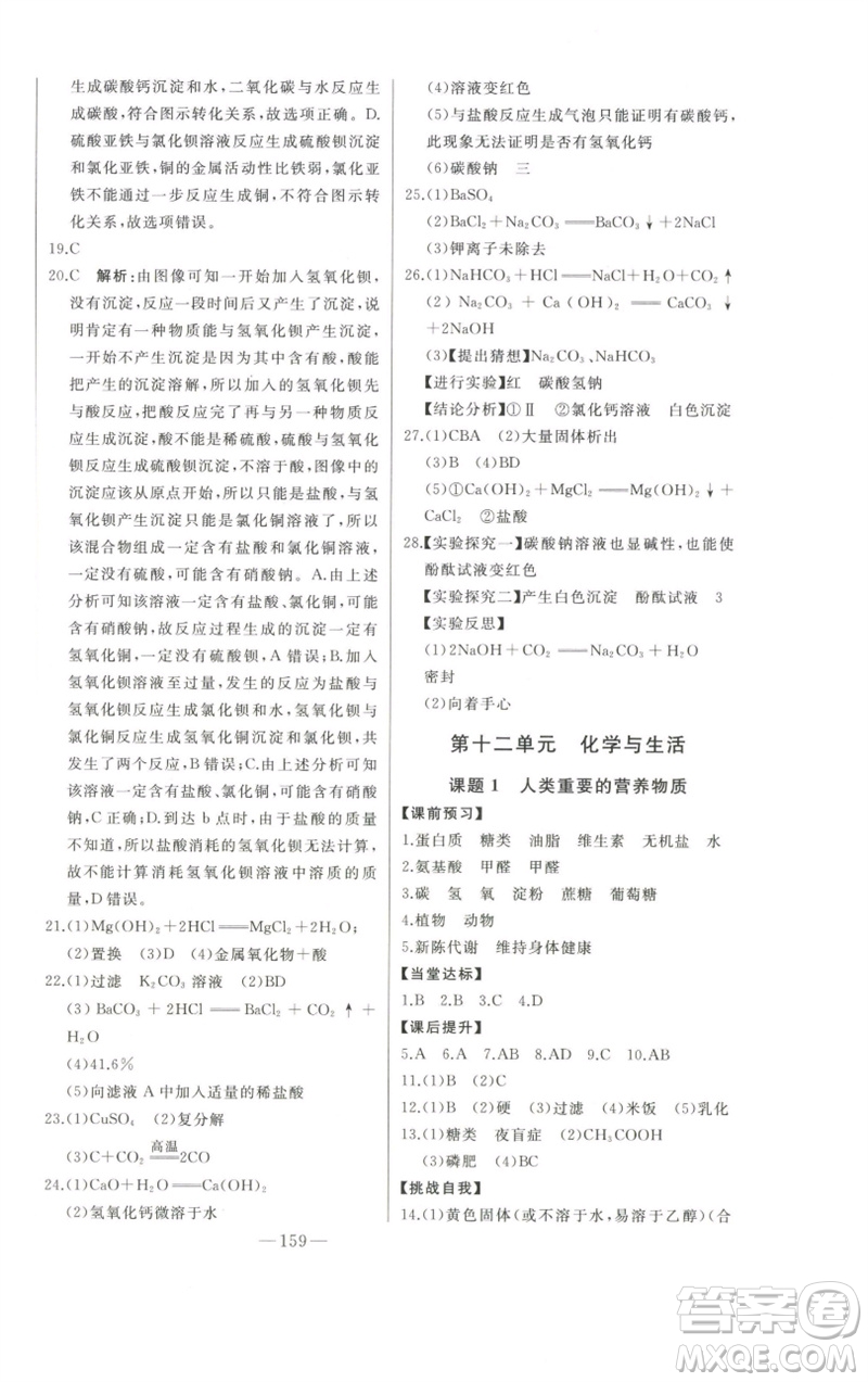 吉林人民出版社2023初中新課標(biāo)名師學(xué)案智慧大課堂九年級(jí)化學(xué)下冊(cè)人教版參考答案