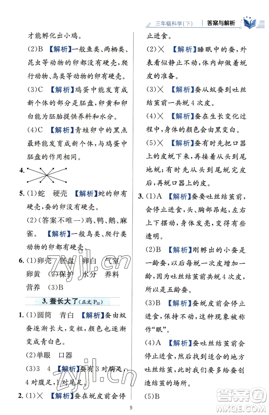 陜西人民教育出版社2023小學(xué)教材全練三年級下冊科學(xué)教科版參考答案