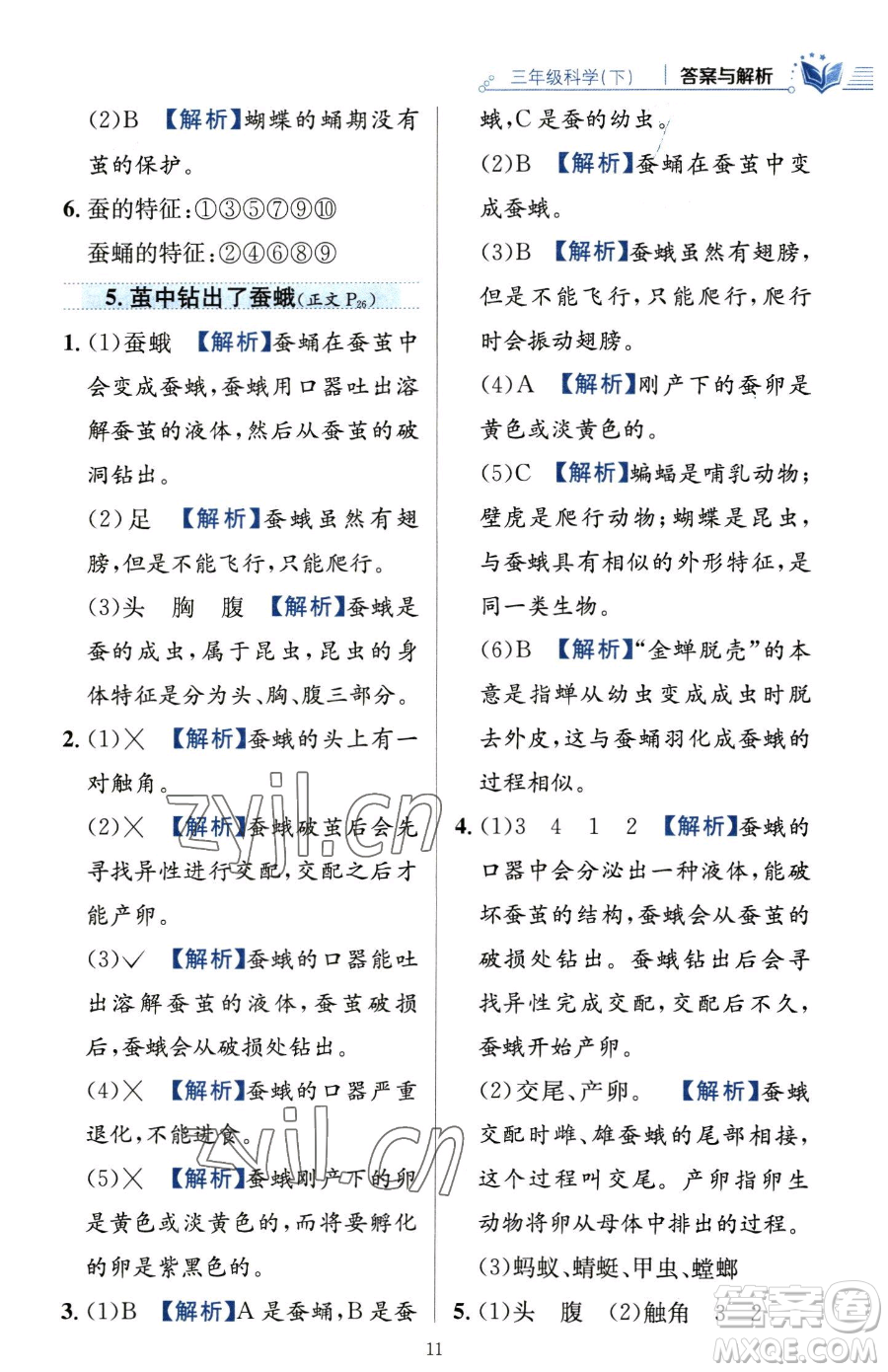 陜西人民教育出版社2023小學(xué)教材全練三年級下冊科學(xué)教科版參考答案