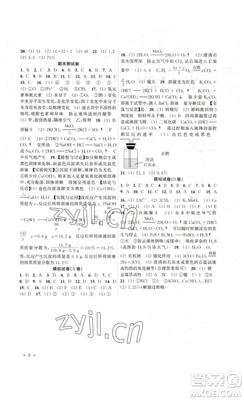 黃山書社2023高效精練九年級化學(xué)下冊人教版參考答案