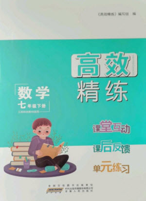 安徽人民出版社2023高效精練七年級(jí)數(shù)學(xué)下冊(cè)蘇科版參考答案