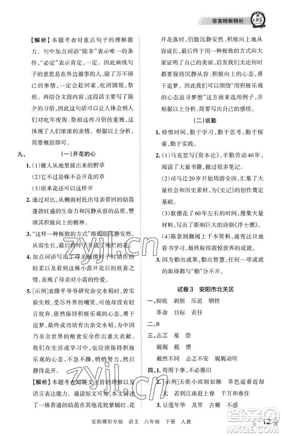 江西人民出版社2023王朝霞期末真題精編六年級下冊語文人教版安濮專版參考答案