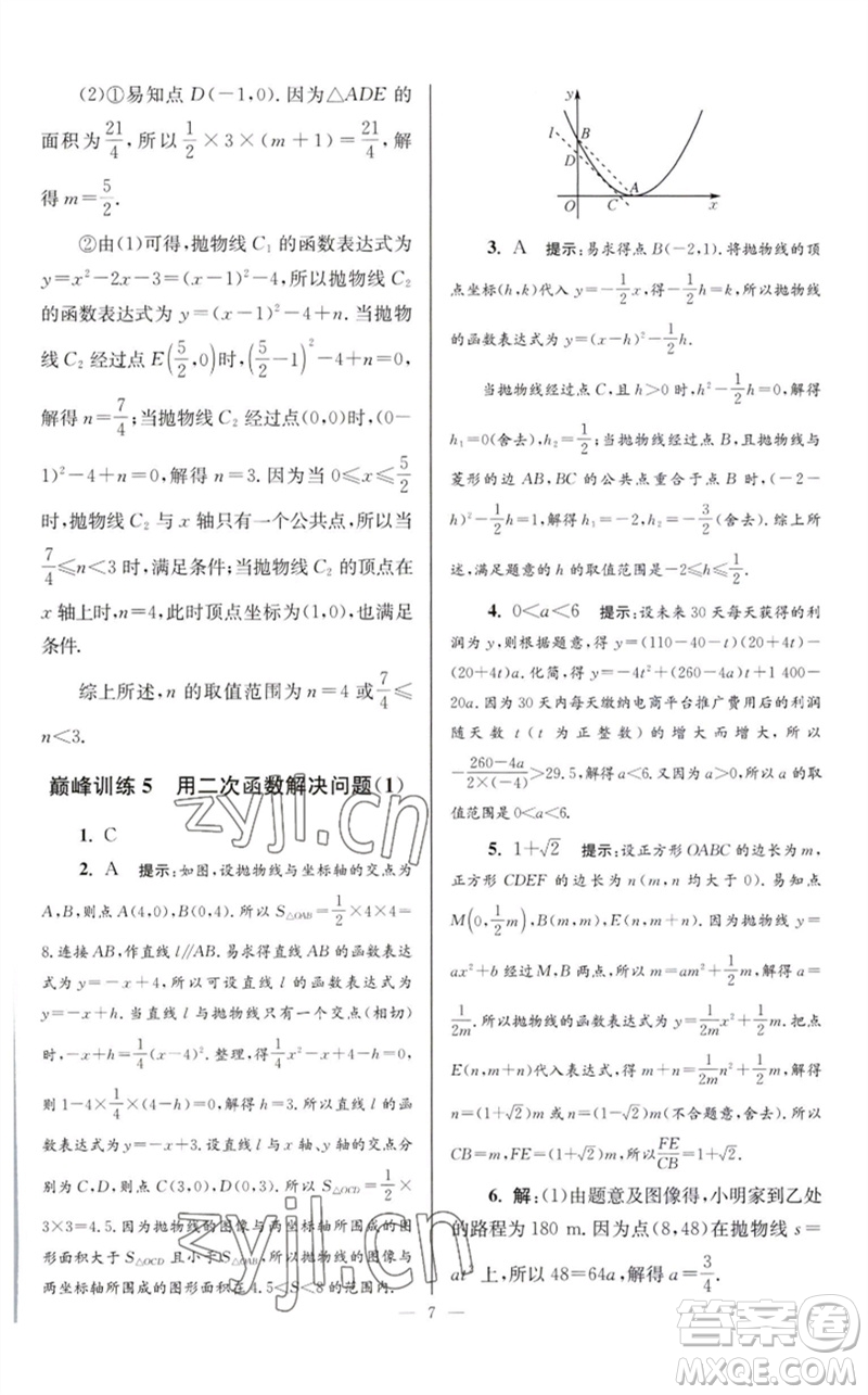 江蘇鳳凰科學(xué)技術(shù)出版社2023初中數(shù)學(xué)小題狂做九年級(jí)下冊(cè)蘇科版巔峰版參考答案