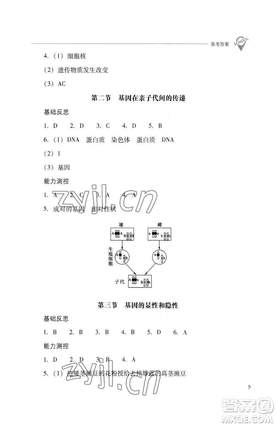 山西教育出版社2023新課程問(wèn)題解決導(dǎo)學(xué)方案八年級(jí)下冊(cè)生物人教版參考答案