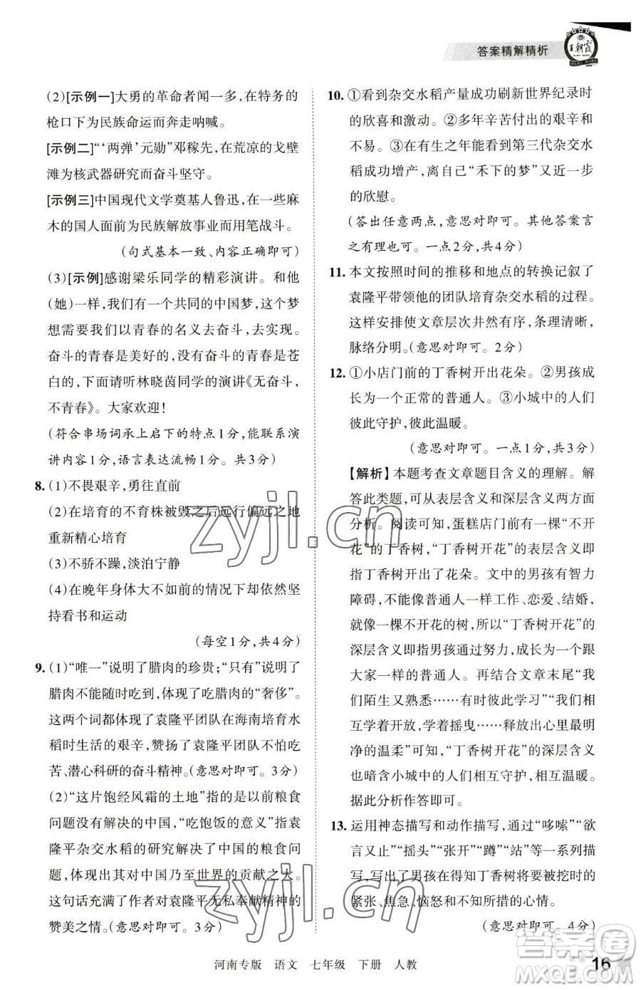 江西人民出版社2023王朝霞各地期末試卷精選七年級(jí)下冊(cè)語文人教版河南專版參考答案