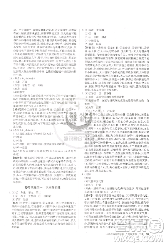 北京教育出版社2023山西名師原創(chuàng)試卷七年級下冊生物人教版參考答案