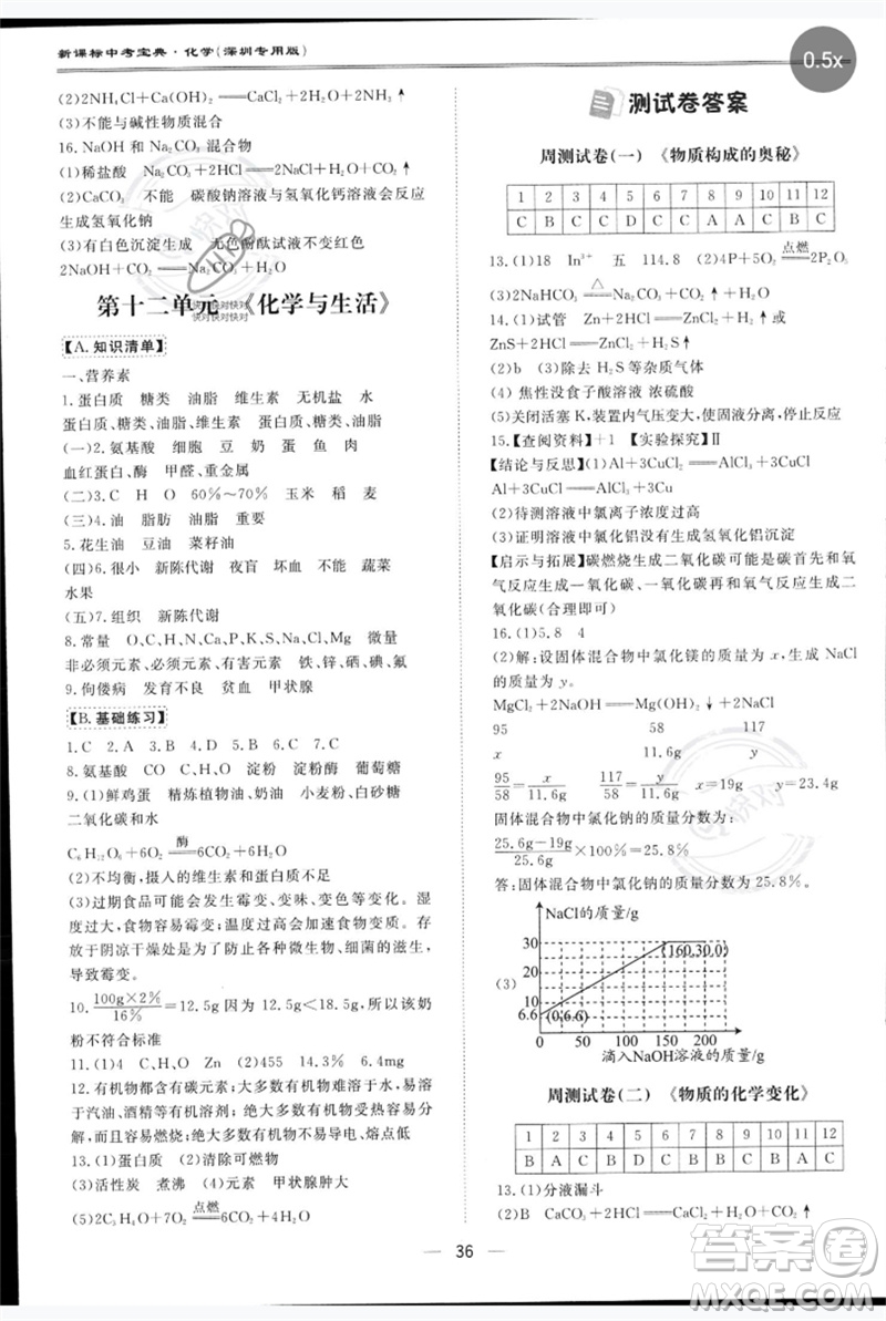 世界圖書出版公司2023新課標中考寶典九年級化學通用版深圳專版參考答案