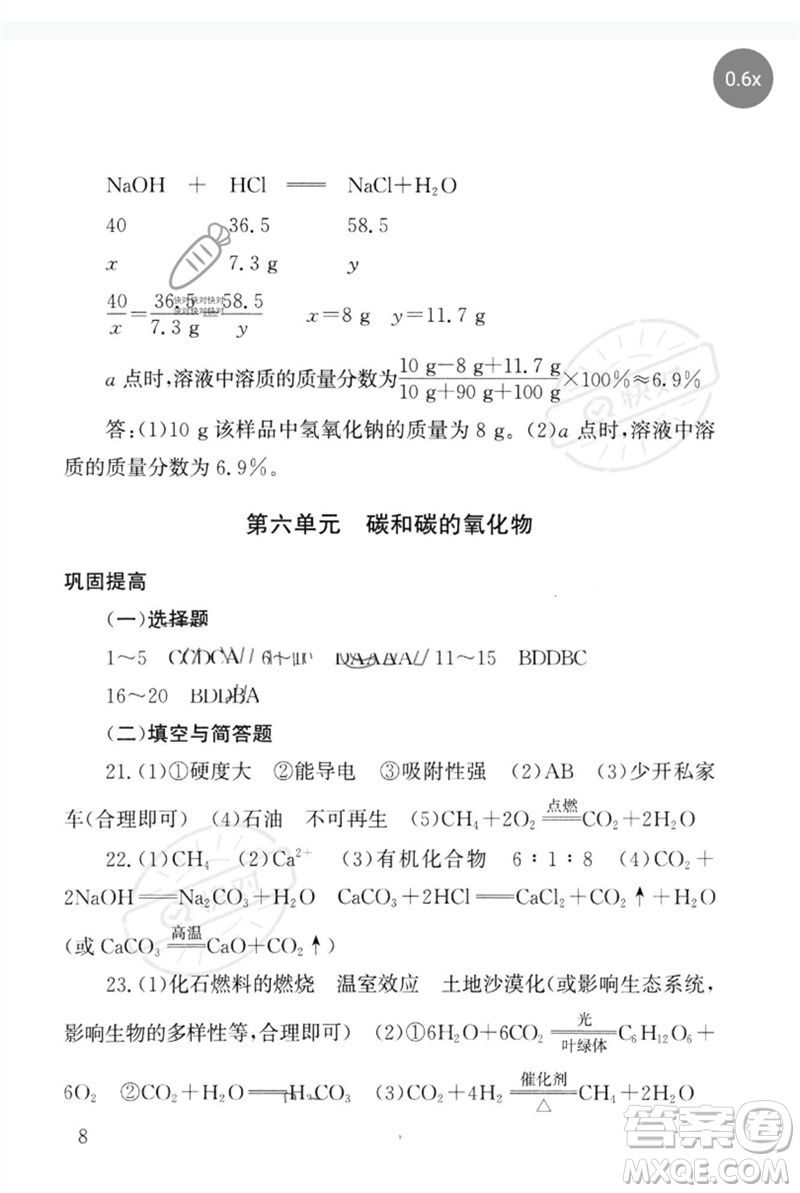 團(tuán)結(jié)出版社2023劍指中考九年級(jí)化學(xué)通用版郴州專版參考答案