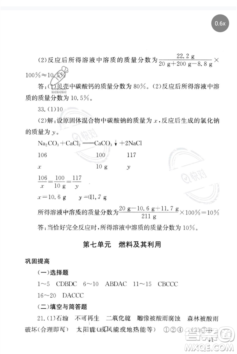 團(tuán)結(jié)出版社2023劍指中考九年級(jí)化學(xué)通用版郴州專版參考答案