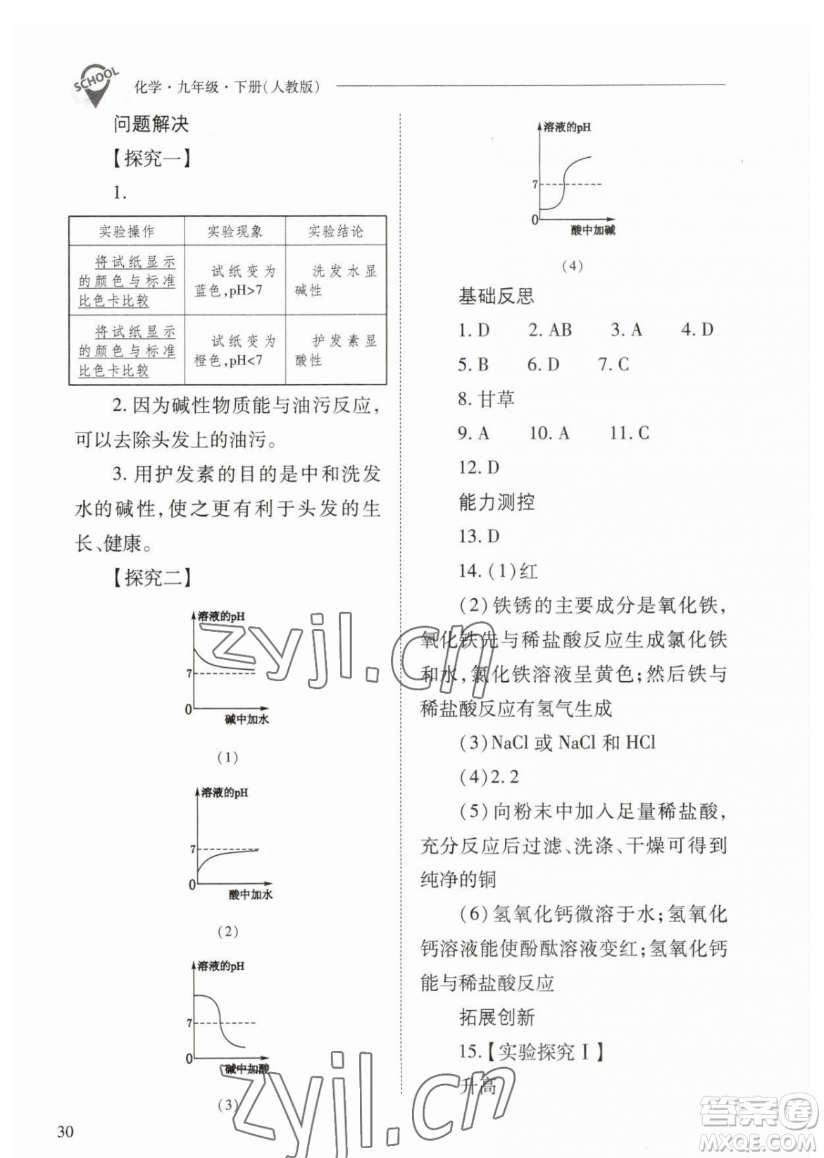 山西教育出版社2023新課程問題解決導(dǎo)學(xué)方案九年級(jí)下冊(cè)化學(xué)人教版參考答案