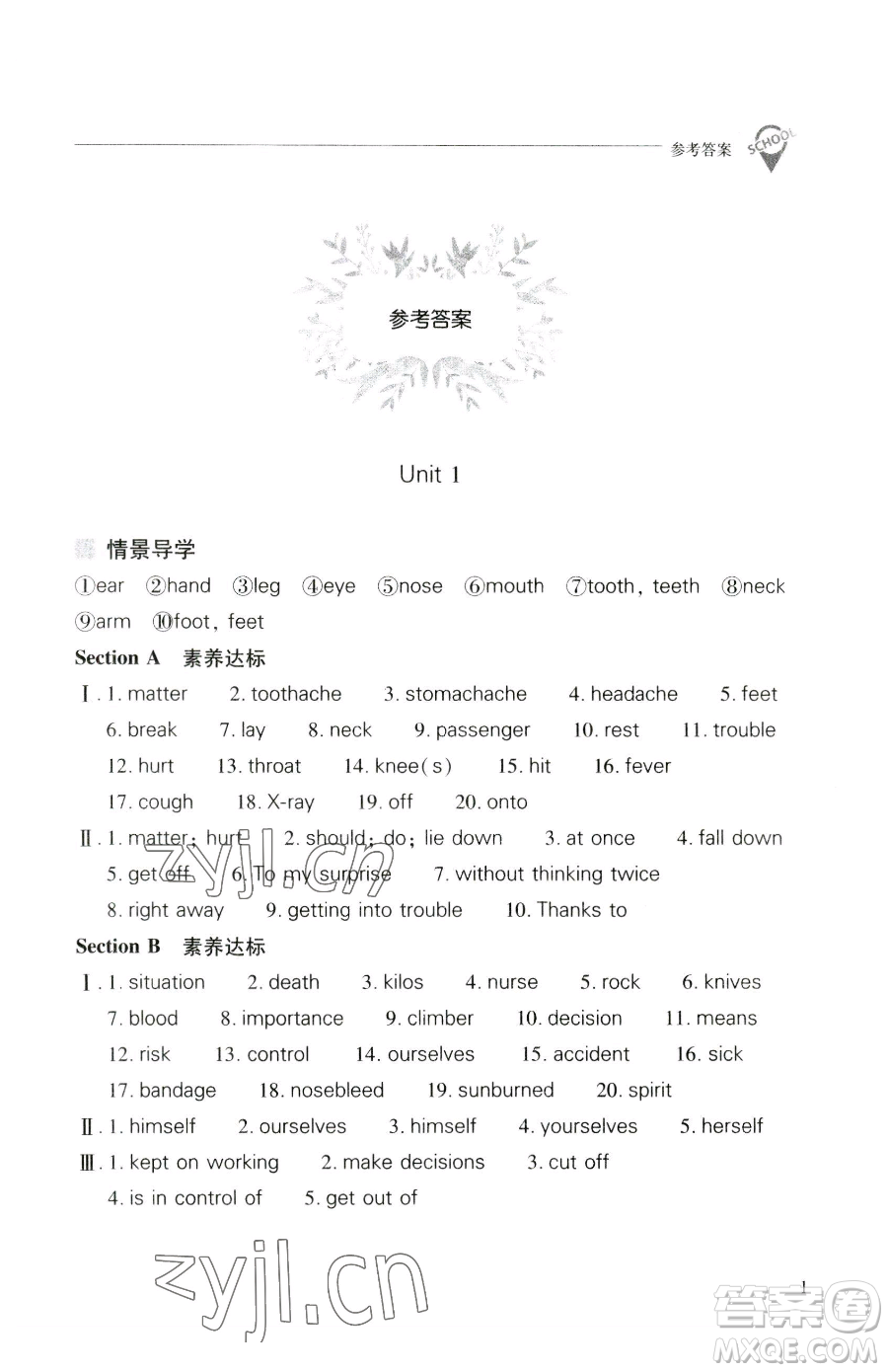 山西教育出版社2023新課程問題解決導(dǎo)學(xué)方案八年級下冊英語人教版參考答案