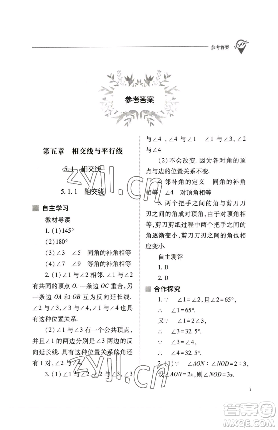 山西教育出版社2023新課程問題解決導(dǎo)學(xué)方案七年級下冊數(shù)學(xué)人教版參考答案