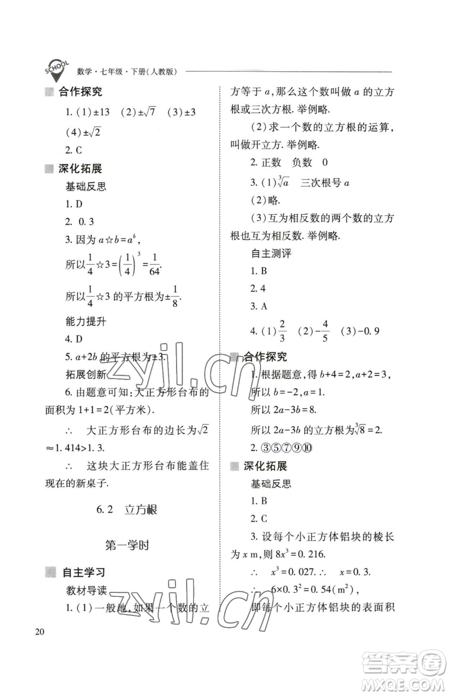 山西教育出版社2023新課程問題解決導(dǎo)學(xué)方案七年級下冊數(shù)學(xué)人教版參考答案