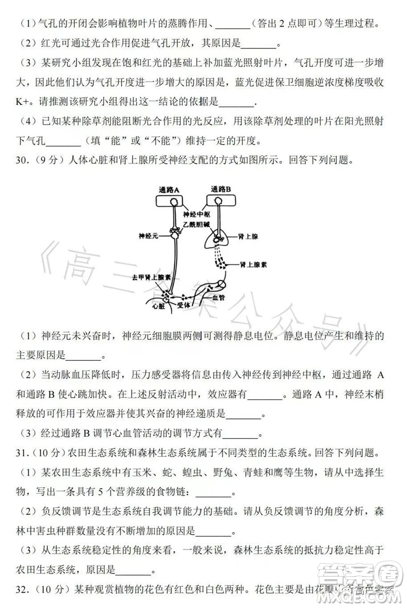 2023年高考全國乙卷理科綜合生物試題答案