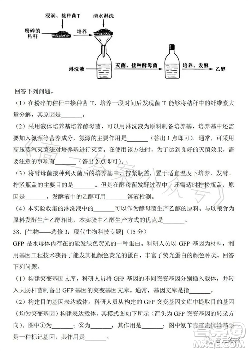 2023年高考全國乙卷理科綜合生物試題答案