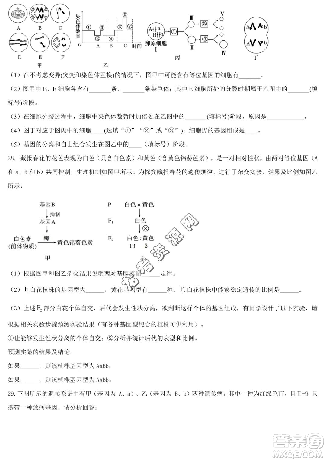 哈六中2022-2023學(xué)年高一下學(xué)期期中考試生物試卷答案