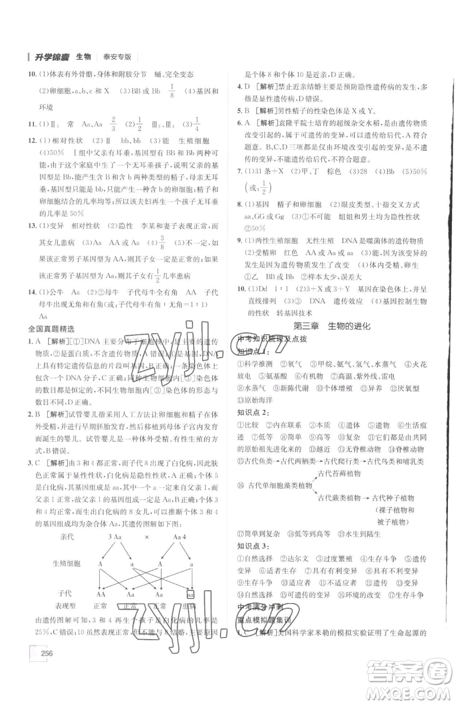 新疆青少年出版社2023升學(xué)錦囊九年級全一冊生物泰安專版參考答案