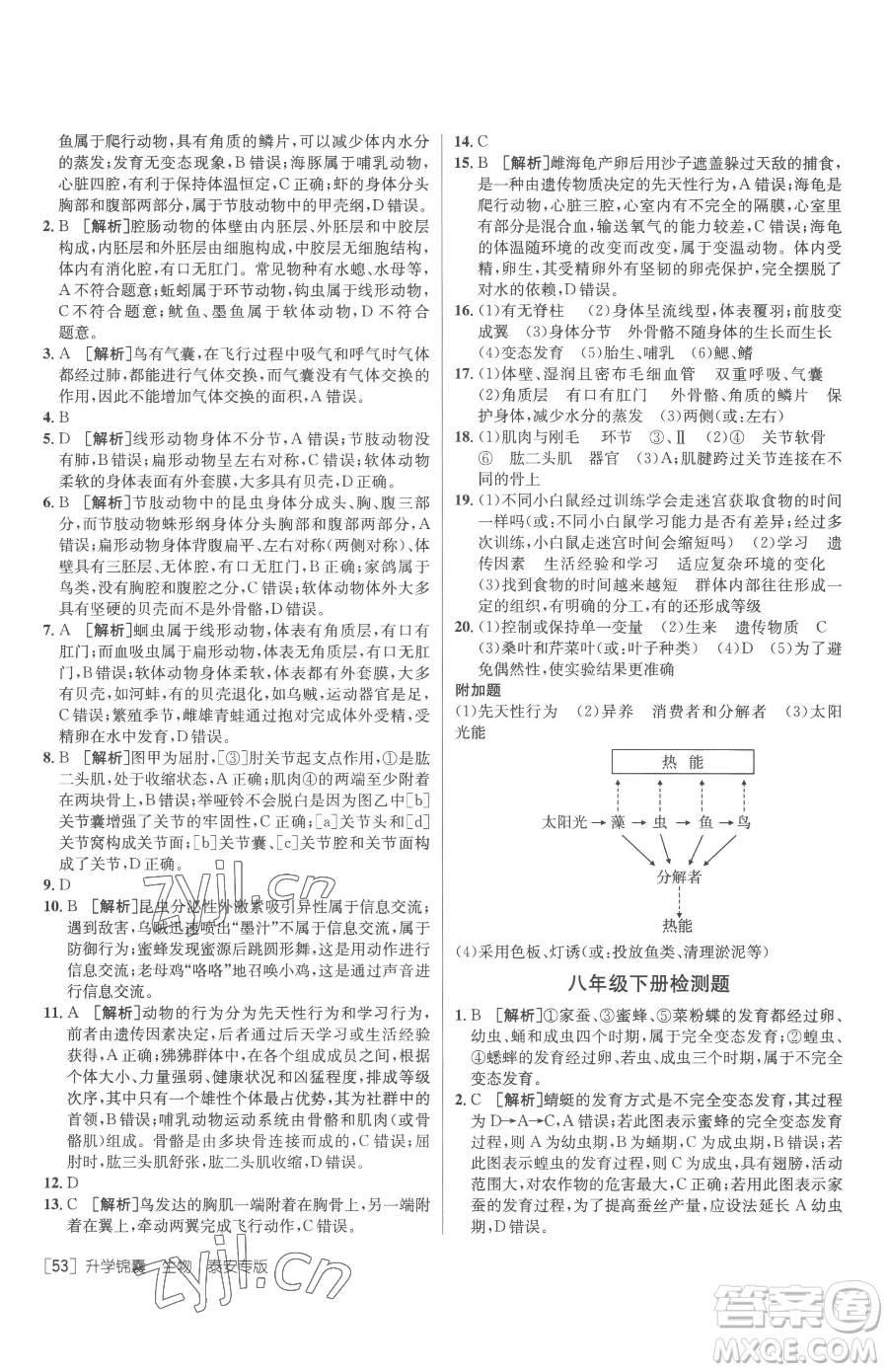 新疆青少年出版社2023升學(xué)錦囊九年級全一冊生物泰安專版參考答案