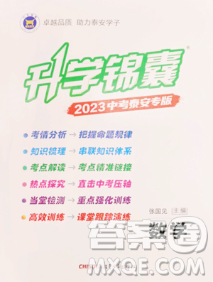 新疆青少年出版社2023升學(xué)錦囊九年級全一冊數(shù)學(xué)泰安專版參考答案